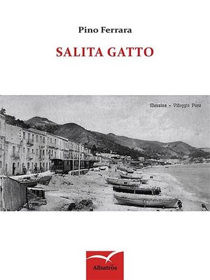 cover image of Salita Gatto